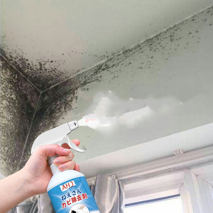 Wall Remover Mildew Detergent