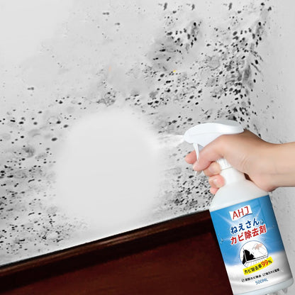 Wall Remover Mildew Detergent
